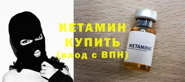 стаф Каменногорск