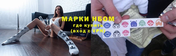 стаф Каменногорск