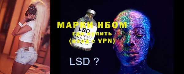 дживик Каменка