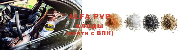 стаф Каменногорск
