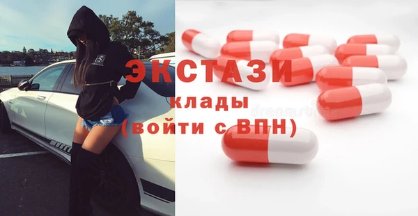 стаф Каменногорск