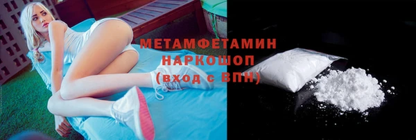 стаф Каменногорск