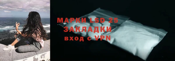 стаф Каменногорск