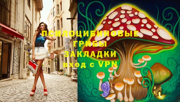 стаф Каменногорск