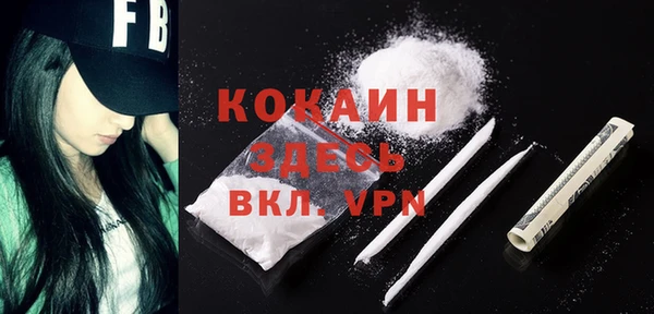 дживик Каменка