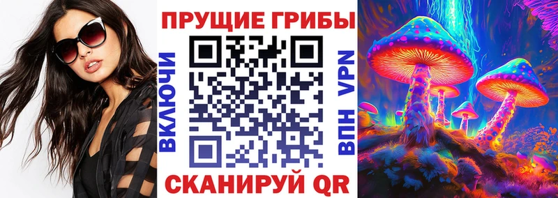 Псилоцибиновые грибы Magic Shrooms  Ессентуки 